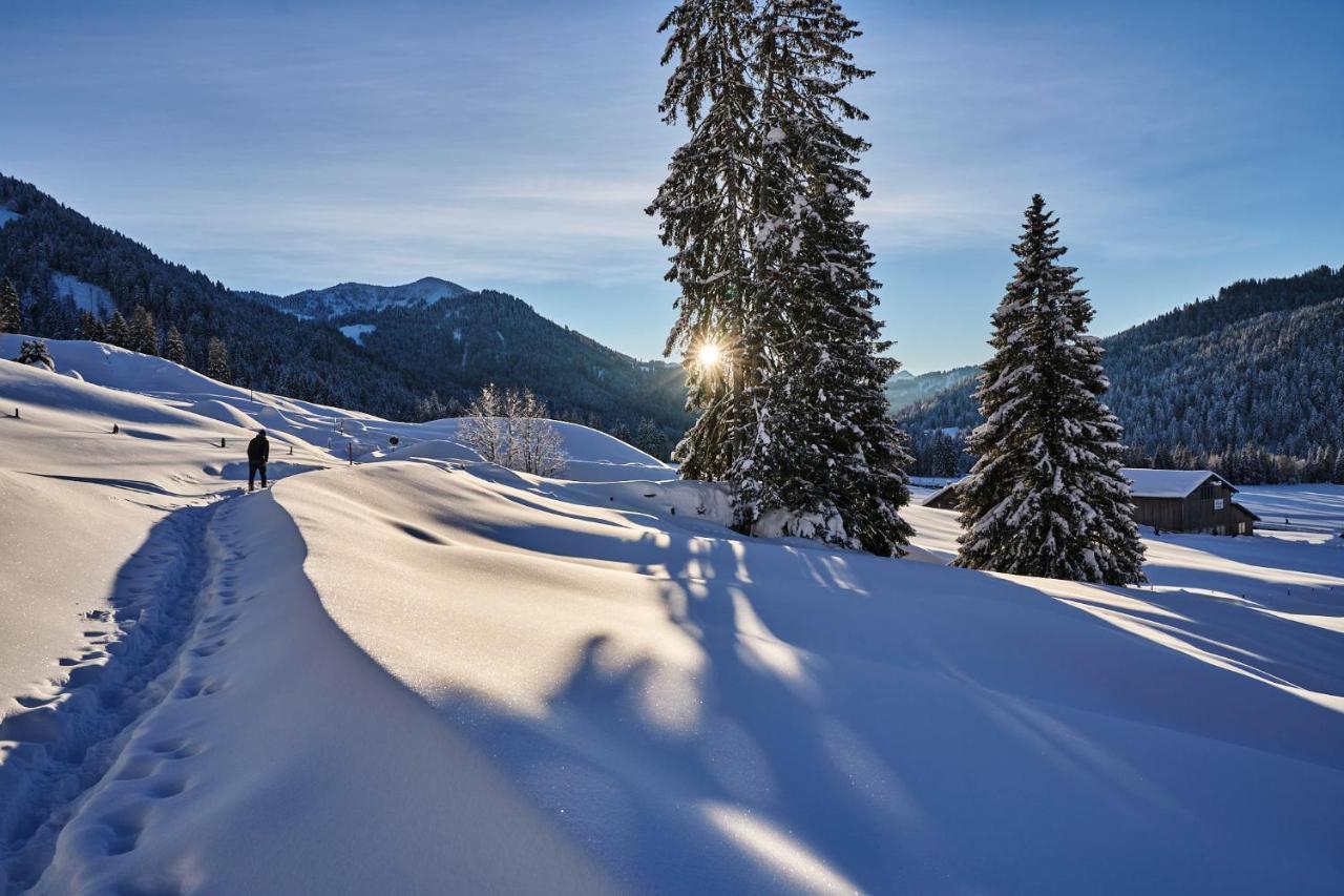 Hubertus Mountain Refugio Allgaeu بالديرشفانغ المظهر الخارجي الصورة