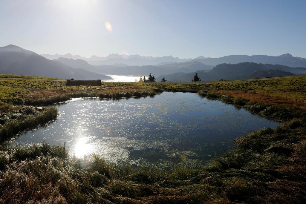 Hubertus Mountain Refugio Allgaeu بالديرشفانغ المظهر الخارجي الصورة